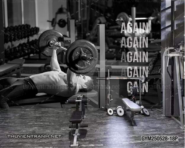 Tranh dán tường Phòng tập Gym - Tranh tường chất lượng cao