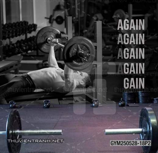 Tranh dán tường Phòng tập Gym - Tranh tường chất lượng cao