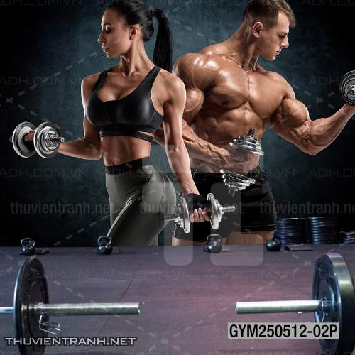 Tranh tường phòng GYM, tranh dán club Thể Hình - Kết quả tìm kiếm tranh tường