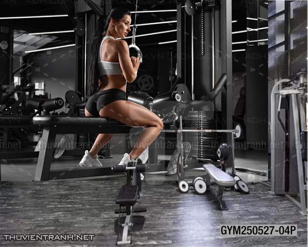 Tranh tường phòng GYM, tranh dán club Thể Hình - Kết quả tìm kiếm tranh tường