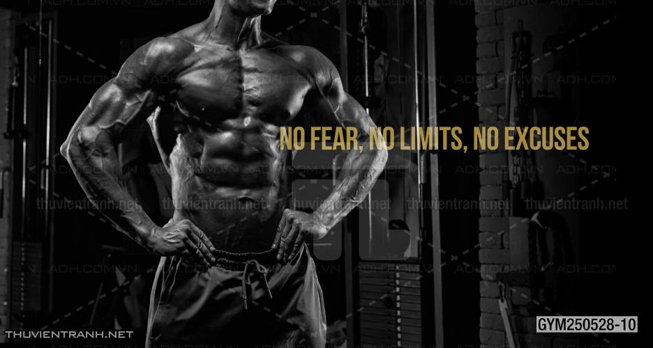 Tranh tường phòng GYM, tranh dán club Thể Hình - Kết quả tìm kiếm tranh tường