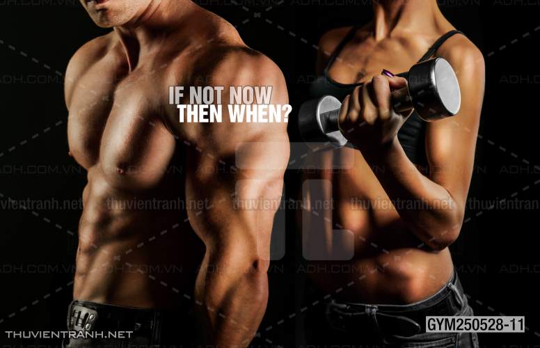 Tranh tường phòng GYM, tranh dán club Thể Hình - Kết quả tìm kiếm tranh tường