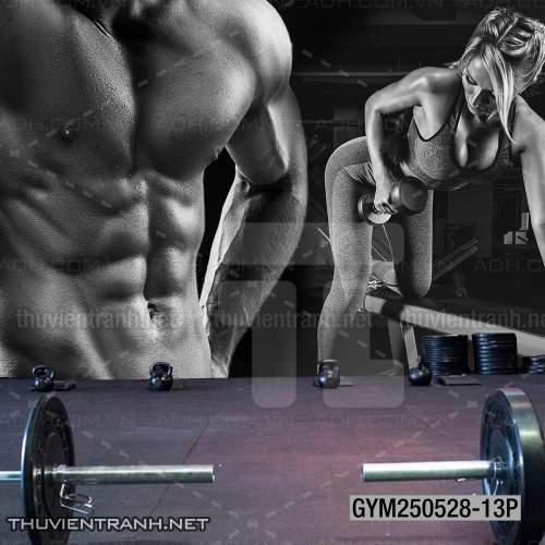 Tranh tường phòng GYM, tranh dán club Thể Hình - Kết quả tìm kiếm tranh tường