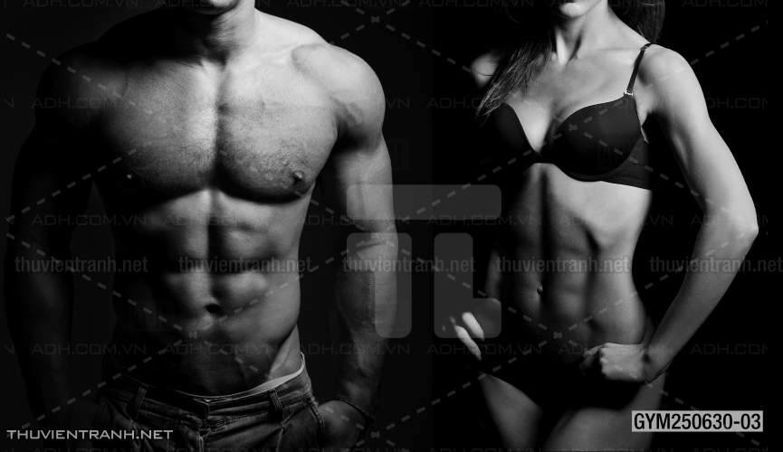 Tranh tường phòng GYM, tranh dán club Thể Hình - Kết quả tìm kiếm tranh tường