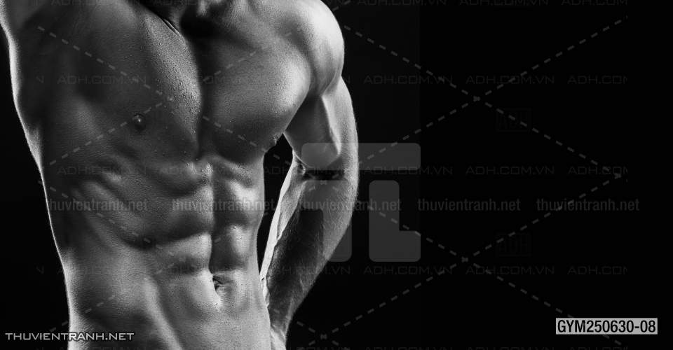 Tranh tường phòng GYM, tranh dán club Thể Hình - Kết quả tìm kiếm tranh tường