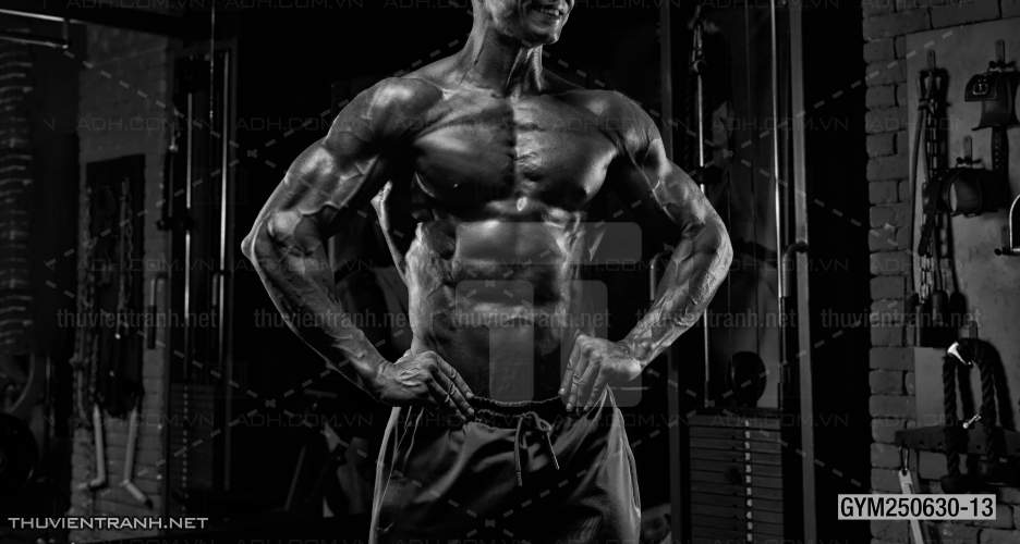 Tranh tường phòng GYM, tranh dán club Thể Hình - Kết quả tìm kiếm tranh tường