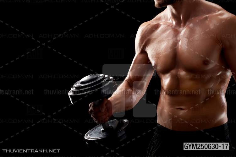 Tranh tường phòng GYM, tranh dán club Thể Hình - Kết quả tìm kiếm tranh tường