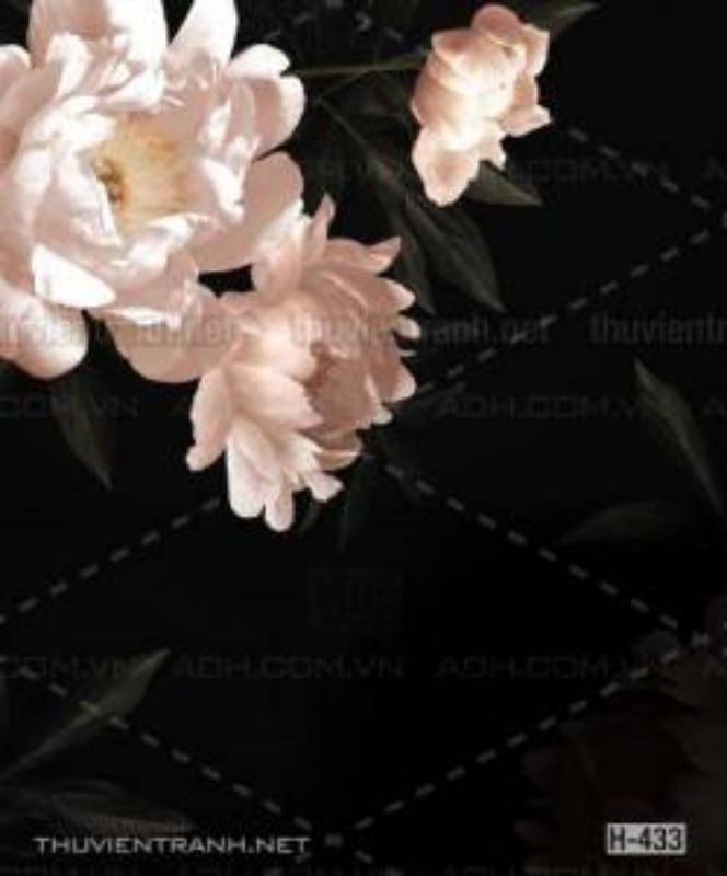 Tranh dán tường hoa - Kết quả tìm kiếm tranh tường