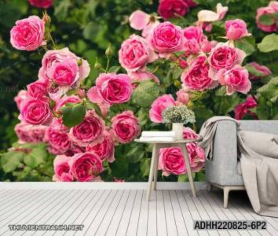 Tranh dán tường hoa , tranh dán tường hoa hồng - Tranh tường chất lượng cao