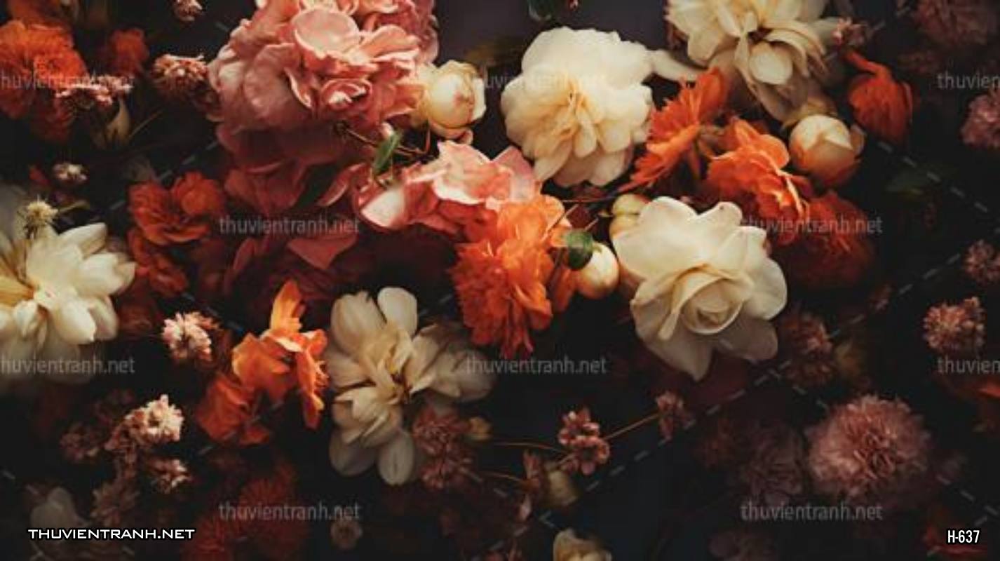 Tranh dán tường hoa tối màu - Kết quả tìm kiếm tranh tường