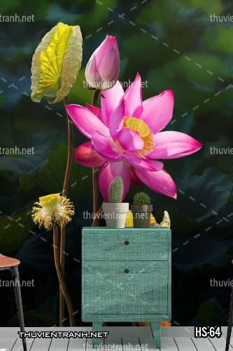  Tranh dán tường Hoa Sen - Kết quả tìm kiếm tranh tường