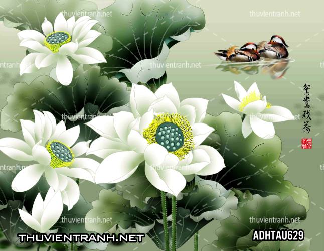 Tranh dán tường Hoa Sen Cá Chép - Kết quả tìm kiếm tranh tường